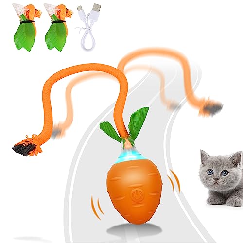 HAPPY HACHI Juguetes Gatos Interactivos, Juguete para Gato Recargable por USB, con 3 Cola de Pluma y LED de Colores Juego Gatos para Interior (Pelotas)
