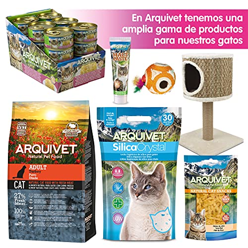 ARQUIVET Caseta Gato Corner - 50 x 60 x 41 cm - Casa higiénica Cerrada - Arenero Cubierto de plástico para Gatos - Casita de Posible Uso Exterior para felinos